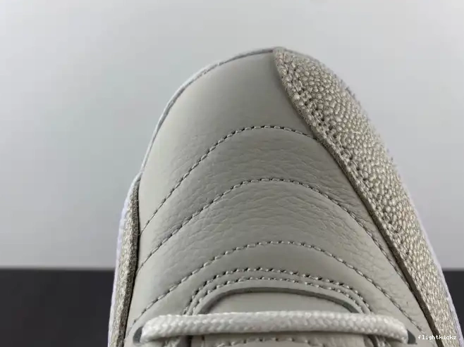 Retro White 873864-102 Jordan OVO 12 0614